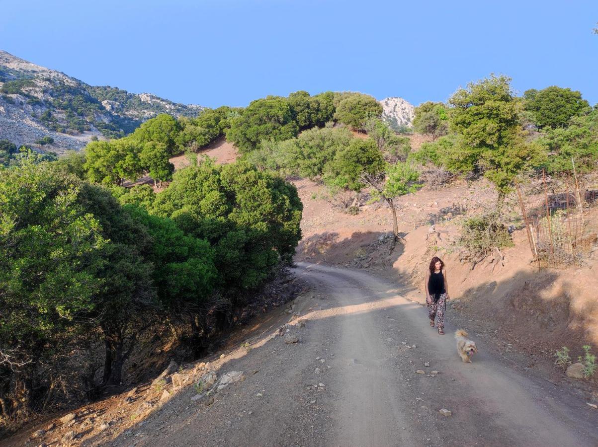 Kato Symi House Βίλα Κάτω Σύμη Εξωτερικό φωτογραφία