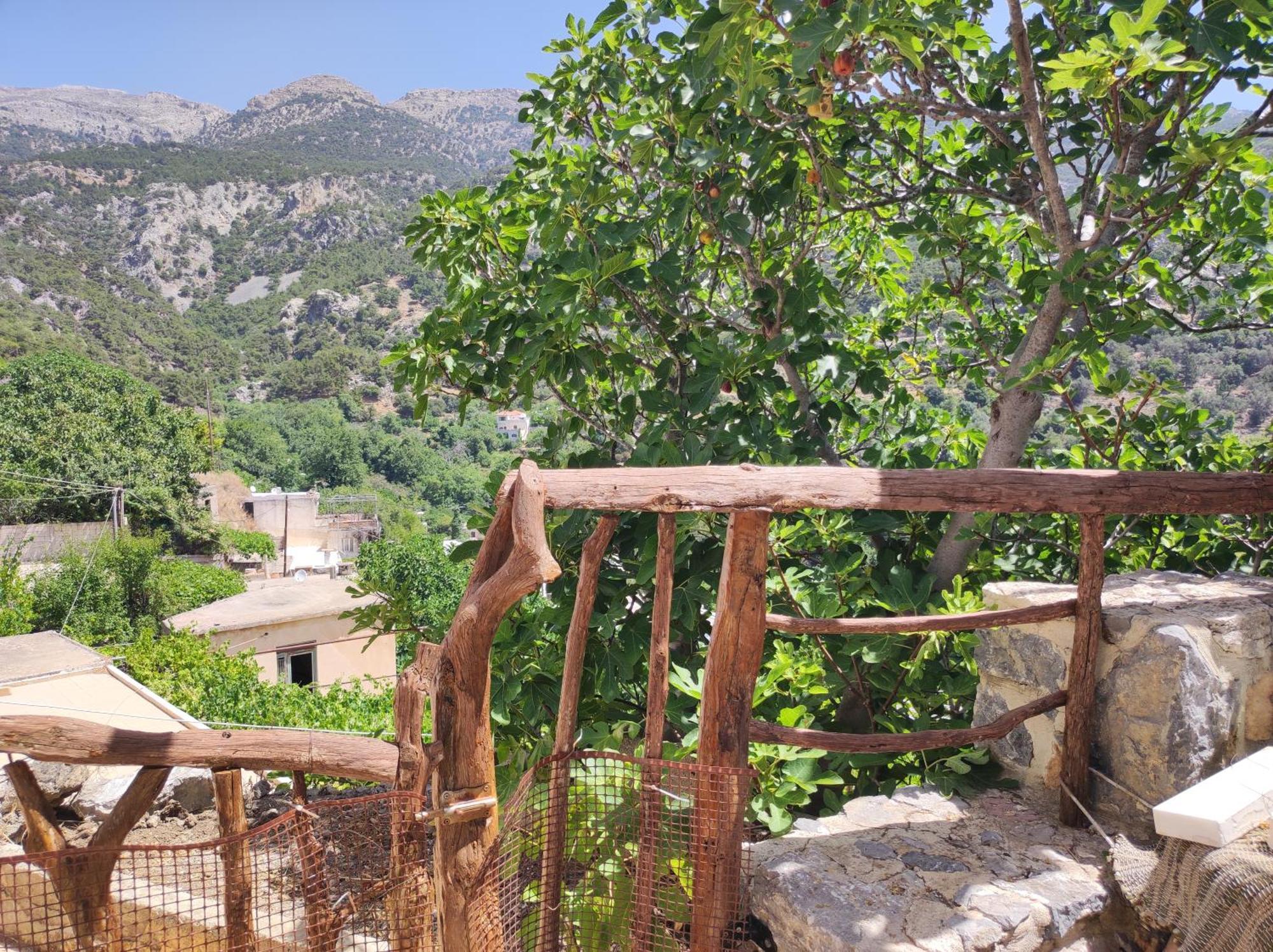 Kato Symi House Βίλα Κάτω Σύμη Εξωτερικό φωτογραφία